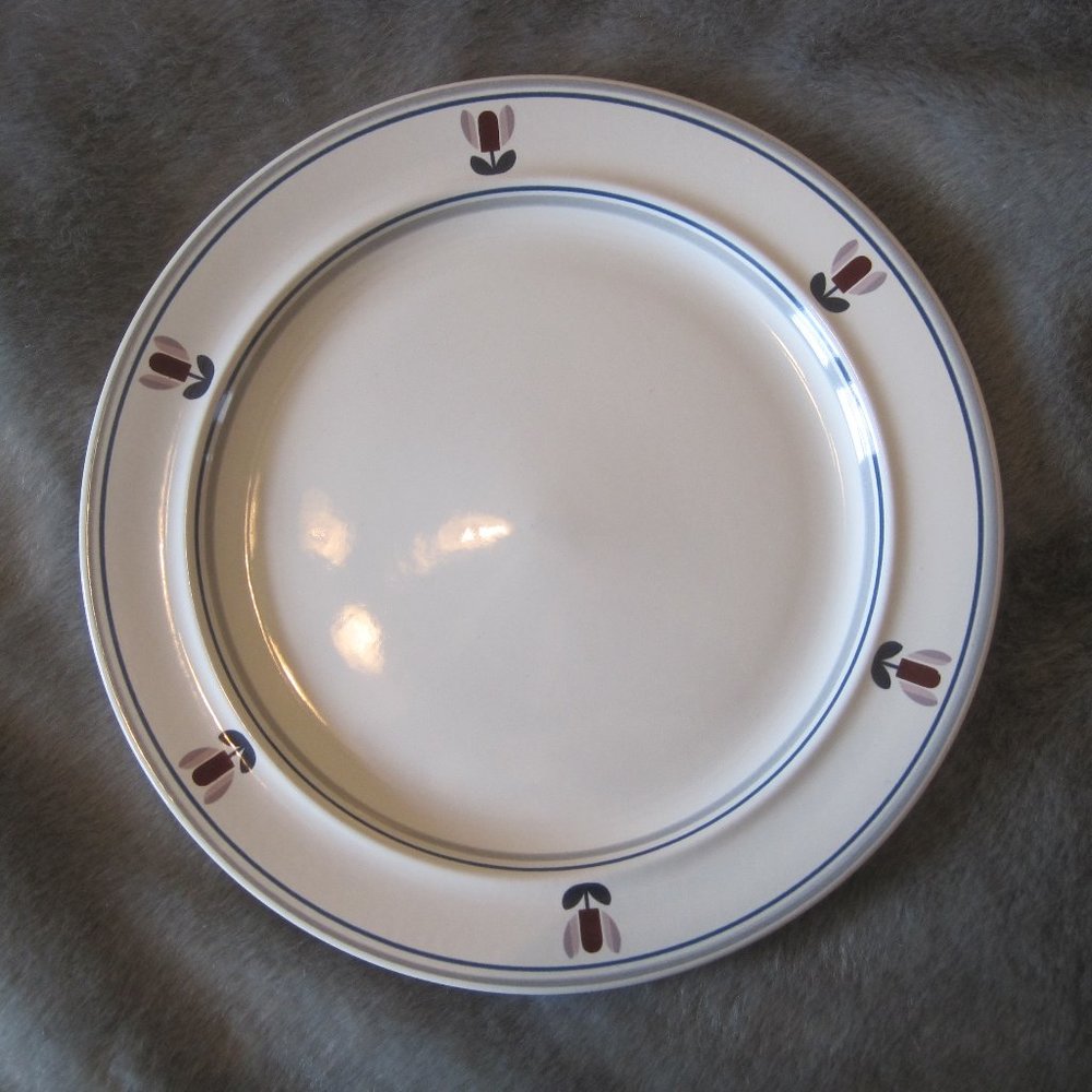 EPOCH HOLLAND 365 SYMMETRY V SERVING PLATE